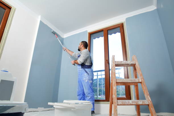 Best Drywall Removal and Disposal  in Gibraltar, MI